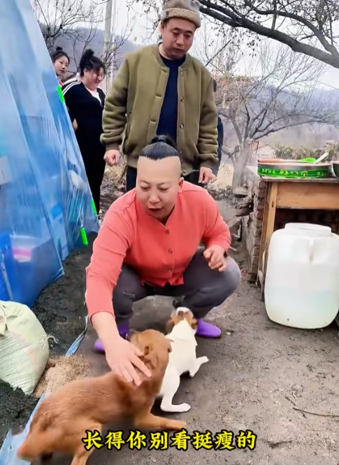 東北雨姐：東北給全國(guó)人打的一針興奮劑