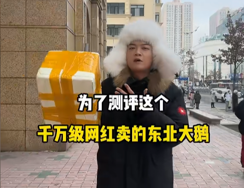 東北雨姐：東北給全國(guó)人打的一針興奮劑