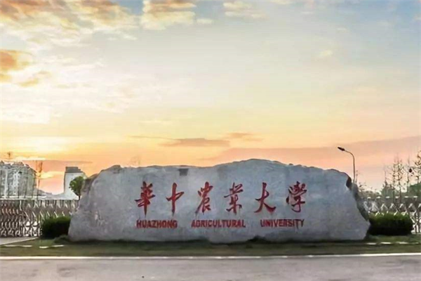 武漢211大學(xué)有哪些？2019武漢211大學(xué)名單排名榜 (7所)
