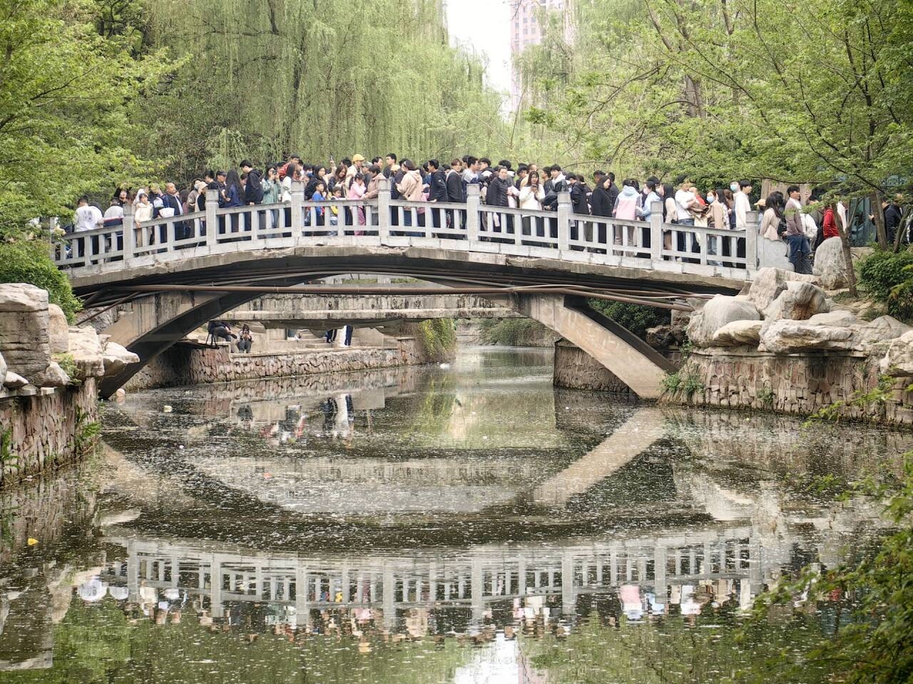 清明哪個景區(qū)看起來都像有1億人：天水、淄博受歡迎