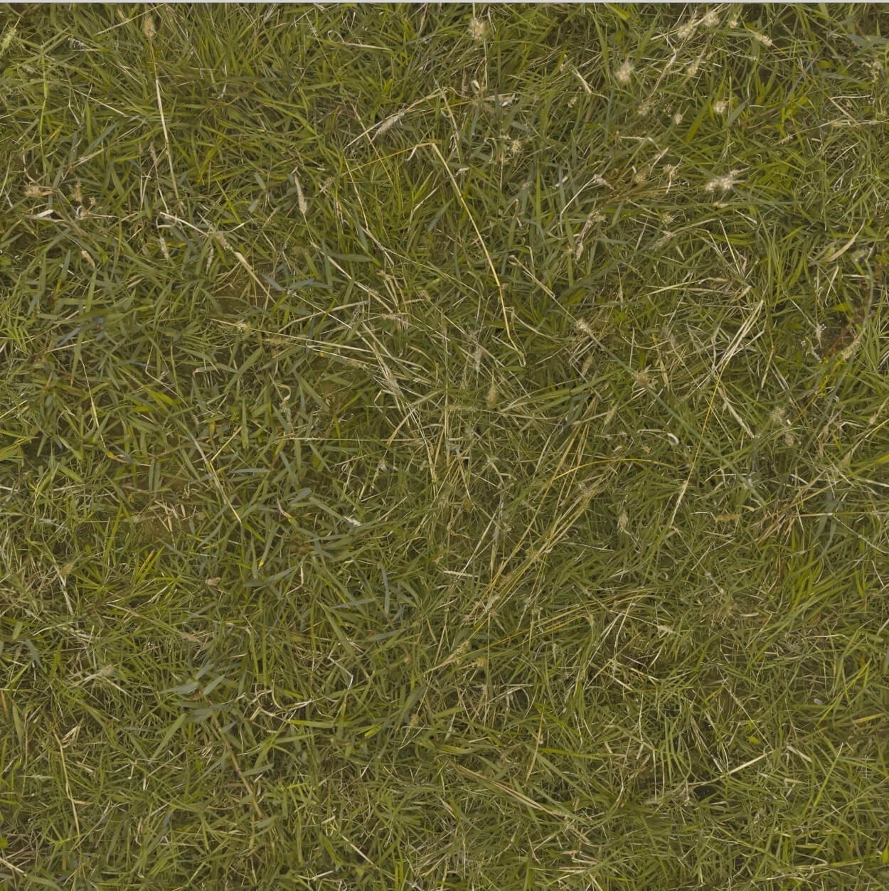 《龍之信條2》新環(huán)境4K材質(zhì)包公布 體積達8GB