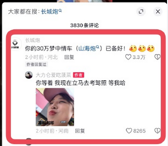 “長城 炮！”火遍全網(wǎng) 長城汽車：潑天的富貴終于輪到我們