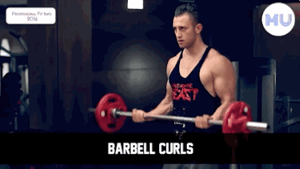 手臂訓練計劃，六個訓練動作，帶你練出麒麟臂，增肌人群必備（手臂訓練計劃六個訓練動作）(7)