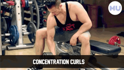 手臂訓練計劃，六個訓練動作，帶你練出麒麟臂，增肌人群必備（手臂訓練計劃六個訓練動作）(10)