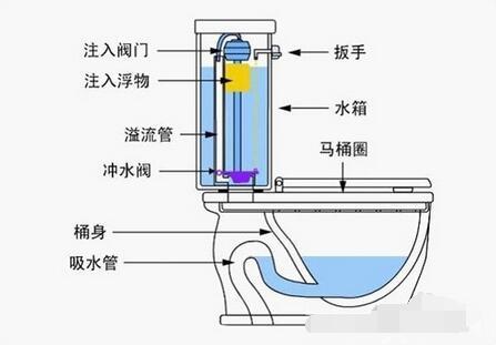 哪種馬桶不堵塞，水還不濺pp 賣了10年馬桶才明白（哪種馬桶不堵塞）(3)
