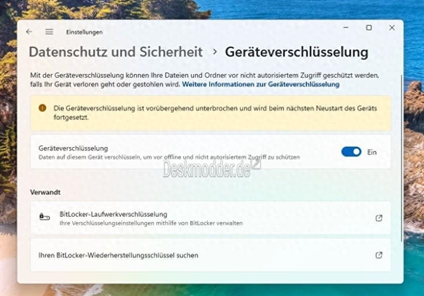 微軟會玩！Windows 11 24H2細節(jié)曝光：對數(shù)據(jù)默認加密、影響SSD性能