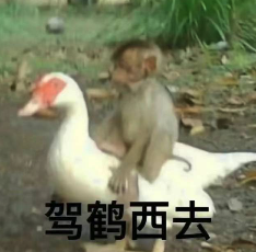 百度副總短視頻背后 其實(shí)還有個很深的套路