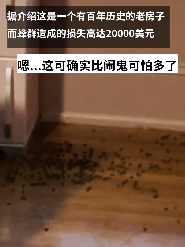 三歲女孩總說墻里有鬼：專業(yè)人士來了也被嚇一跳！