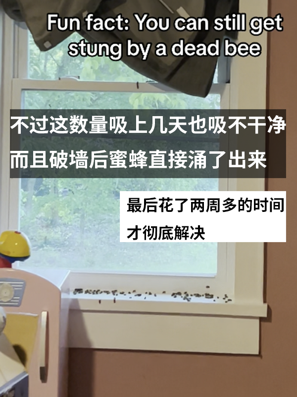 三歲女孩總說墻里有鬼：專業(yè)人士來了也被嚇一跳！