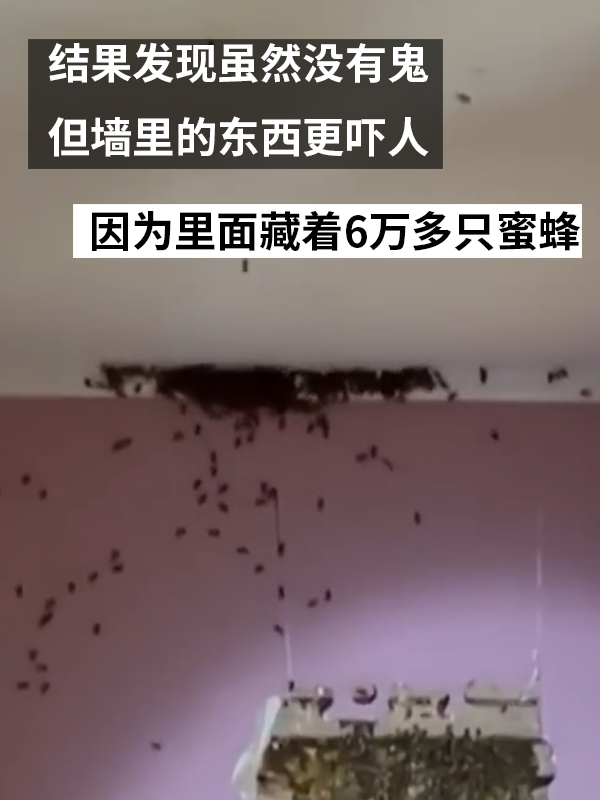 三歲女孩總說墻里有鬼：專業(yè)人士來了也被嚇一跳！