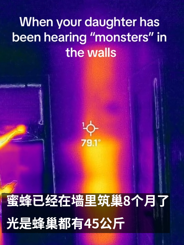 三歲女孩總說墻里有鬼：專業(yè)人士來了也被嚇一跳！
