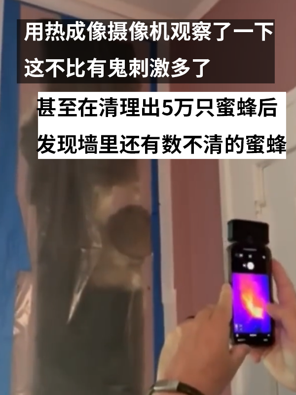 三歲女孩總說墻里有鬼：專業(yè)人士來了也被嚇一跳！