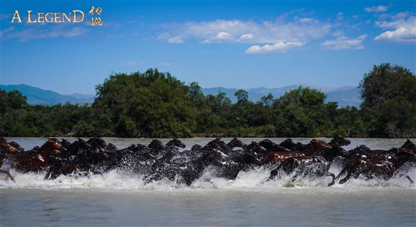 成龍、娜扎等主演！《神話》續(xù)集電影《傳說》定檔：7月12日上映