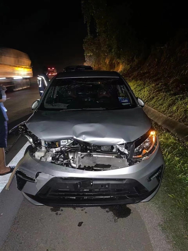 馬來(lái)西亞一只猛虎橫穿馬路時(shí)被撞死：行車(chē)記錄儀曝光