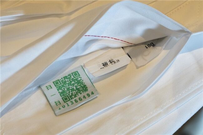 龍舟花燈船、非遺游園會、限定五黃宴……烏鎮(zhèn)景區(qū)端午活動上新