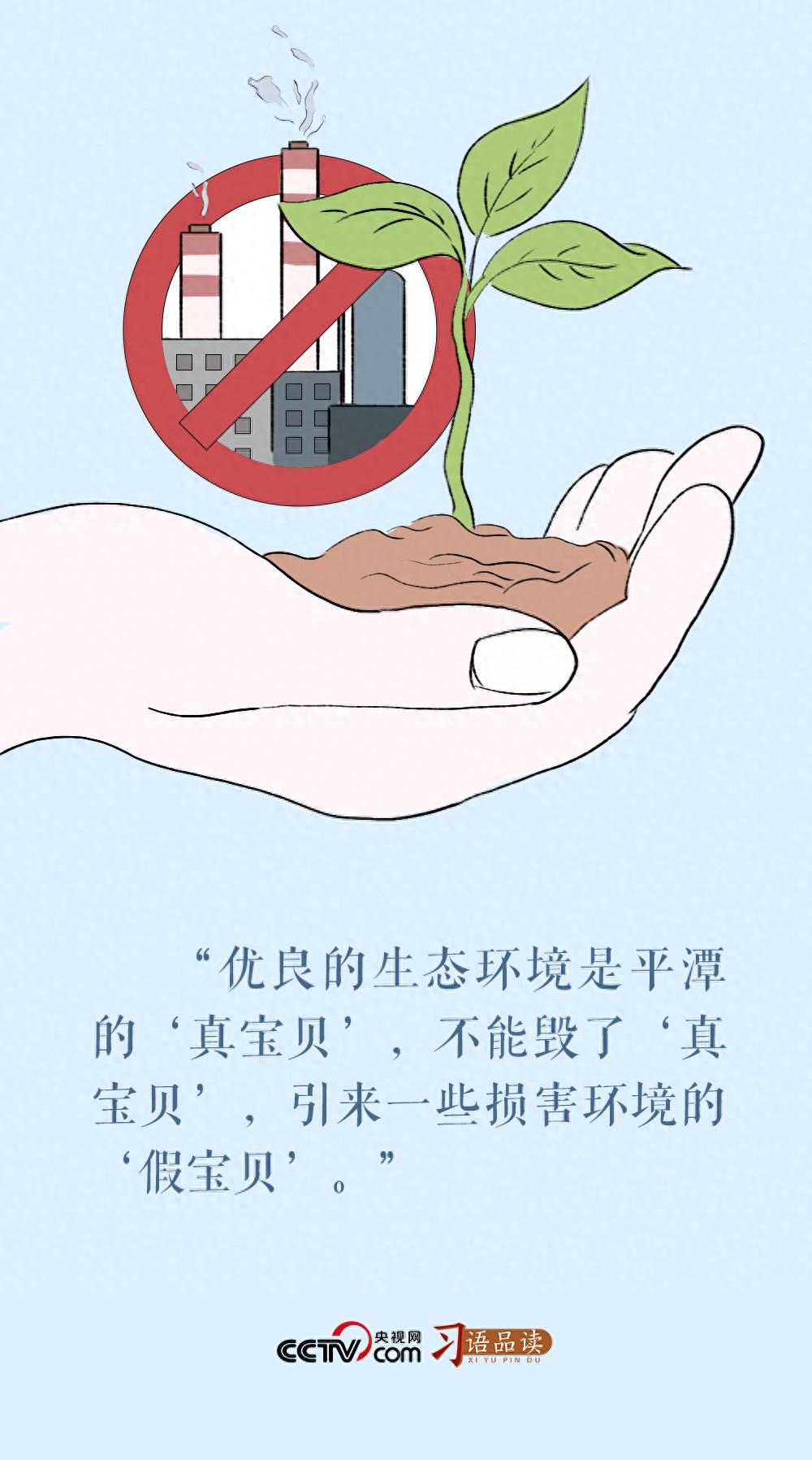 習語品讀|不能毀了“真寶貝”引來“假寶貝”插圖1 2 習語品讀|不能毀了“真寶貝”引來“假寶貝” 2