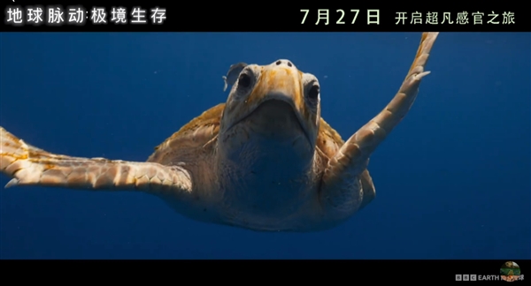 豆瓣9.7分紀(jì)錄片天花板！《地球脈動》首部大電影國內(nèi)定檔7月27日：預(yù)告片發(fā)布