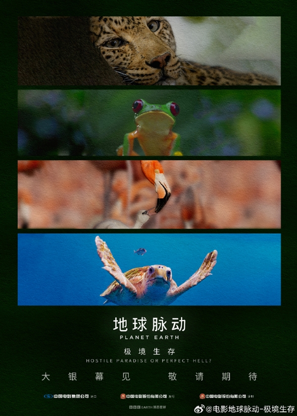 豆瓣9.7分紀(jì)錄片天花板！《地球脈動》首部大電影國內(nèi)定檔7月27日：預(yù)告片發(fā)布