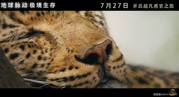豆瓣9.7分紀(jì)錄片天花板！《地球脈動》首部大電影國內(nèi)定檔7月27日：預(yù)告片發(fā)布