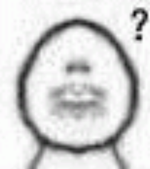 網(wǎng)紅辭職下海結(jié)果被困海中 這老哥要體驗(yàn)現(xiàn)實(shí)版海賊王