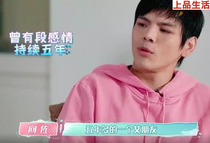 向佐自曝七段情史