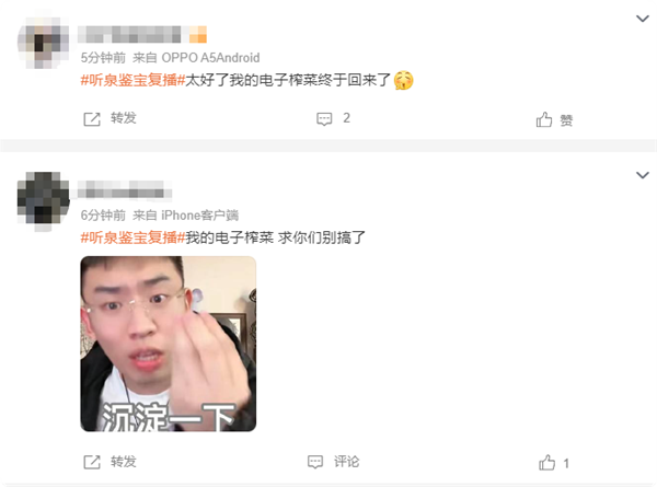 超10萬人觀看！2500萬粉絲網(wǎng)紅聽泉鑒寶復(fù)播 網(wǎng)友：電子榨菜回歸