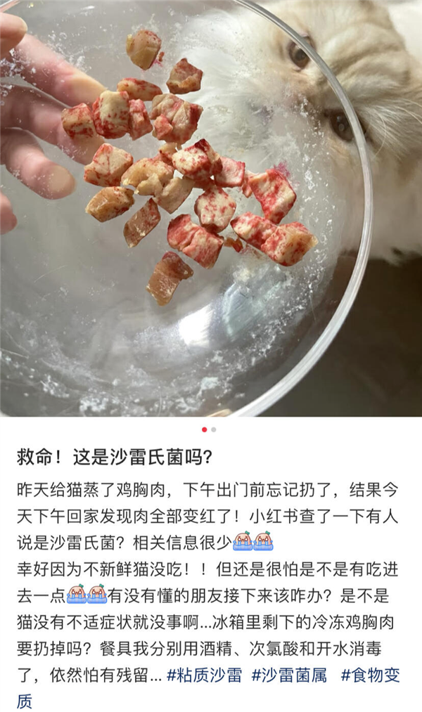 好可怕！為什么馬桶里總是有一圈紅色啊啊啊
