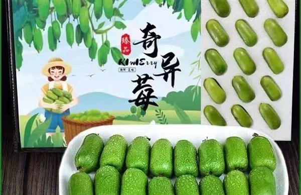 維C含量是橙子6倍！這種長(zhǎng)得像棗的水果 竟是獼猴桃