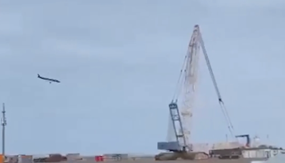 阿航客機(jī)墜毀致38人遇難 事故原因或與鳥(niǎo)群相撞 專家分析
