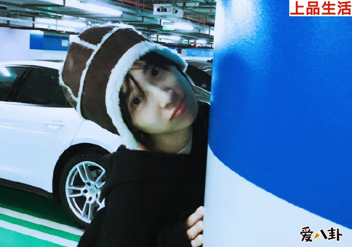 趙霽為什么會退隱的原因