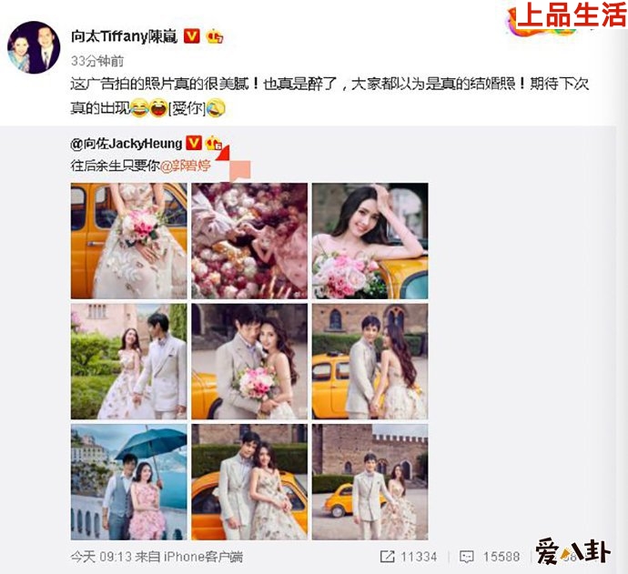 向佐郭碧婷兩人的結(jié)婚是假的？