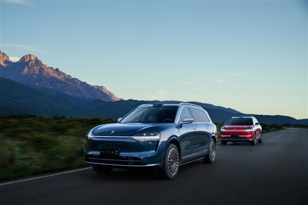 賽力斯法務部：武某某編造散布問界事故致人死亡 已被公安機關處罰