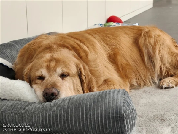 2000塊的Nothing Phone 現(xiàn)在也開(kāi)始堆料了