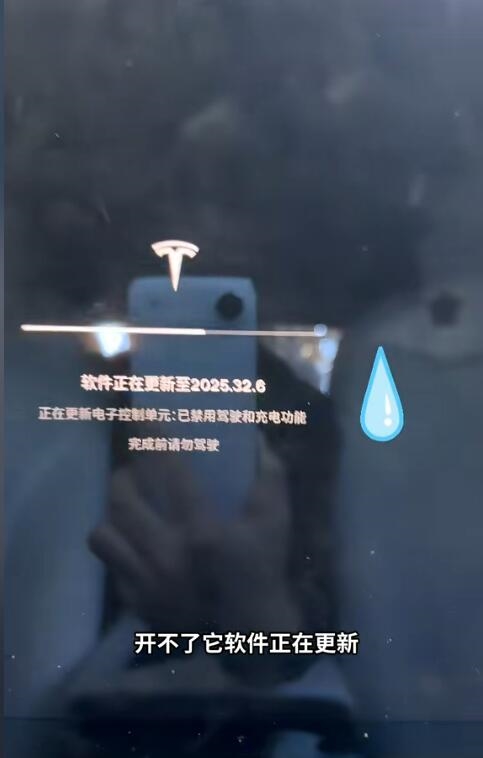 楊天真吐槽特斯拉系統(tǒng)更新打不開車門 只能從后備箱爬進去